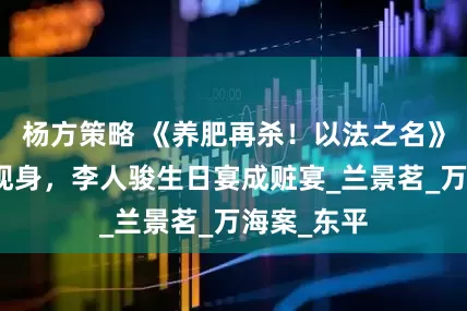 杨方策略 《养肥再杀！以法之名》幕后黑手现身，李人骏生日宴成赃宴_兰景茗_万海案_东平