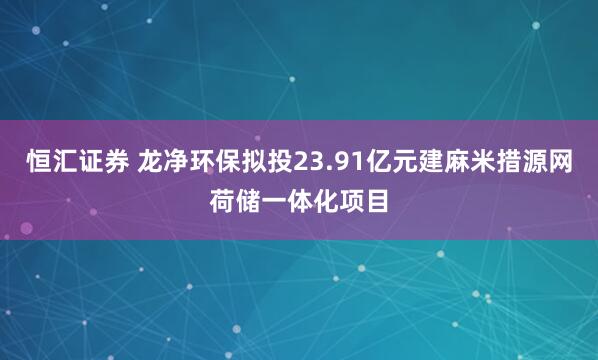 恒汇证券 龙净环保拟投23.91亿元建麻米措源网荷储一体化项目